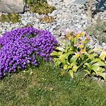 Behler * Kressbronn am Bodensee