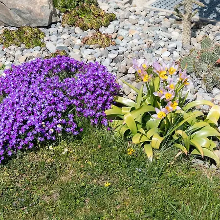 Behler * Kressbronn am Bodensee