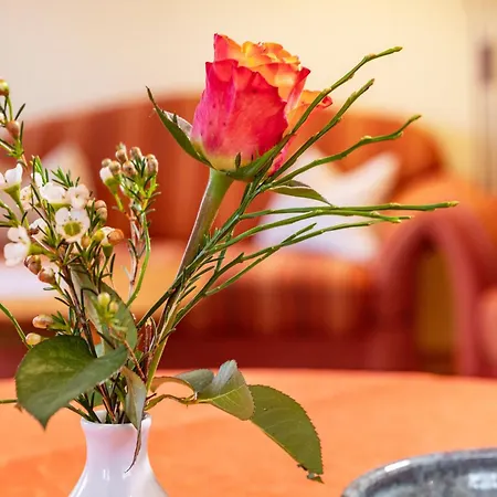 Apartment Behler Kressbronn am Bodensee