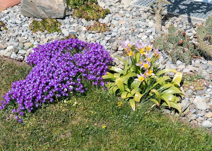 Behler * Kressbronn am Bodensee