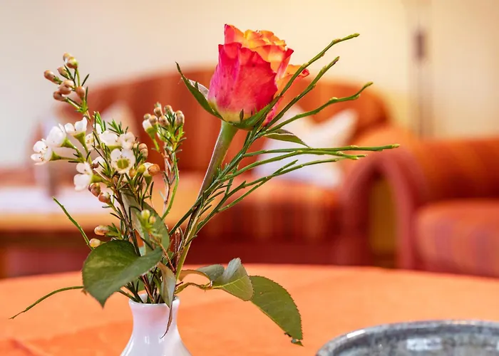 Apartman Behler Kressbronn am Bodensee